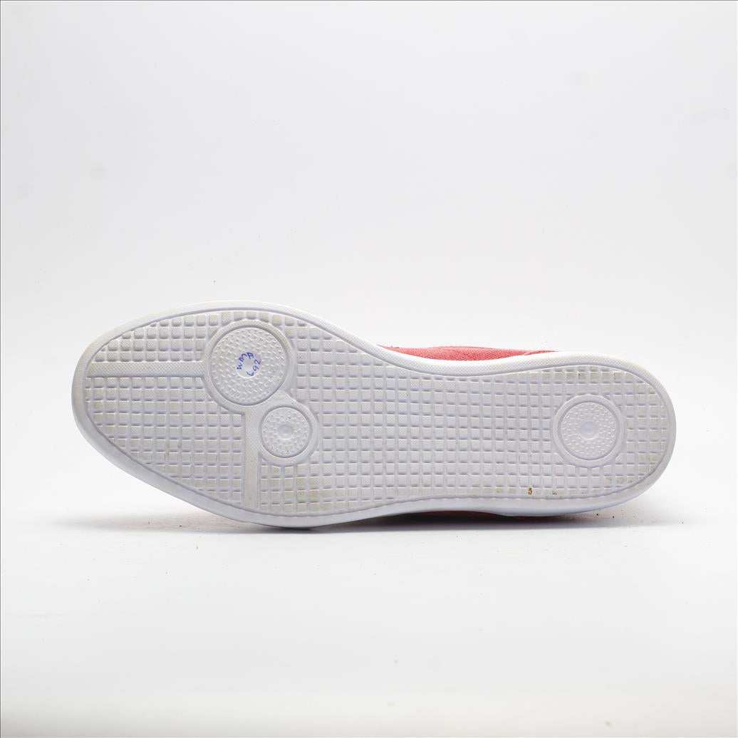 CHAMPION (Original USA Imported)