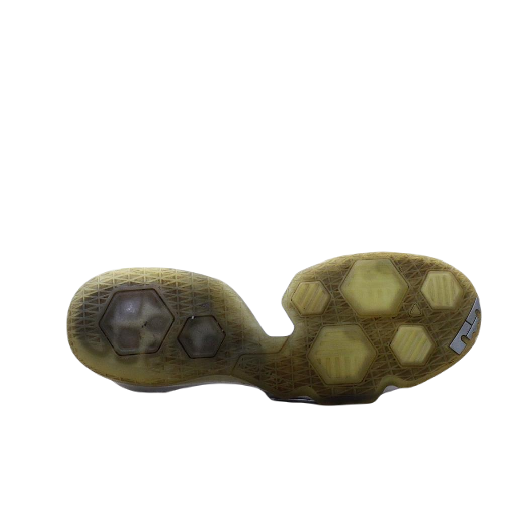 NIKE AIR JAMES LEBRON ORIGINAL USA IMPORTED (Original USA Imported)