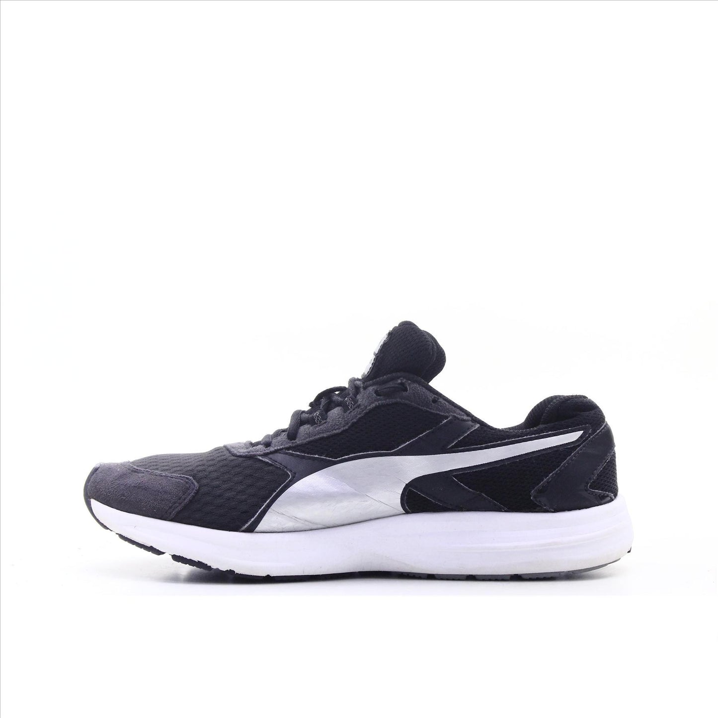 Puma Descendant