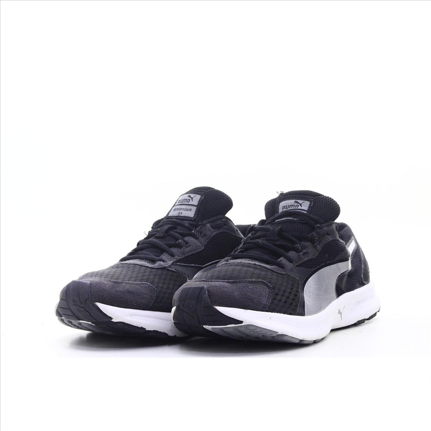 Puma Descendant
