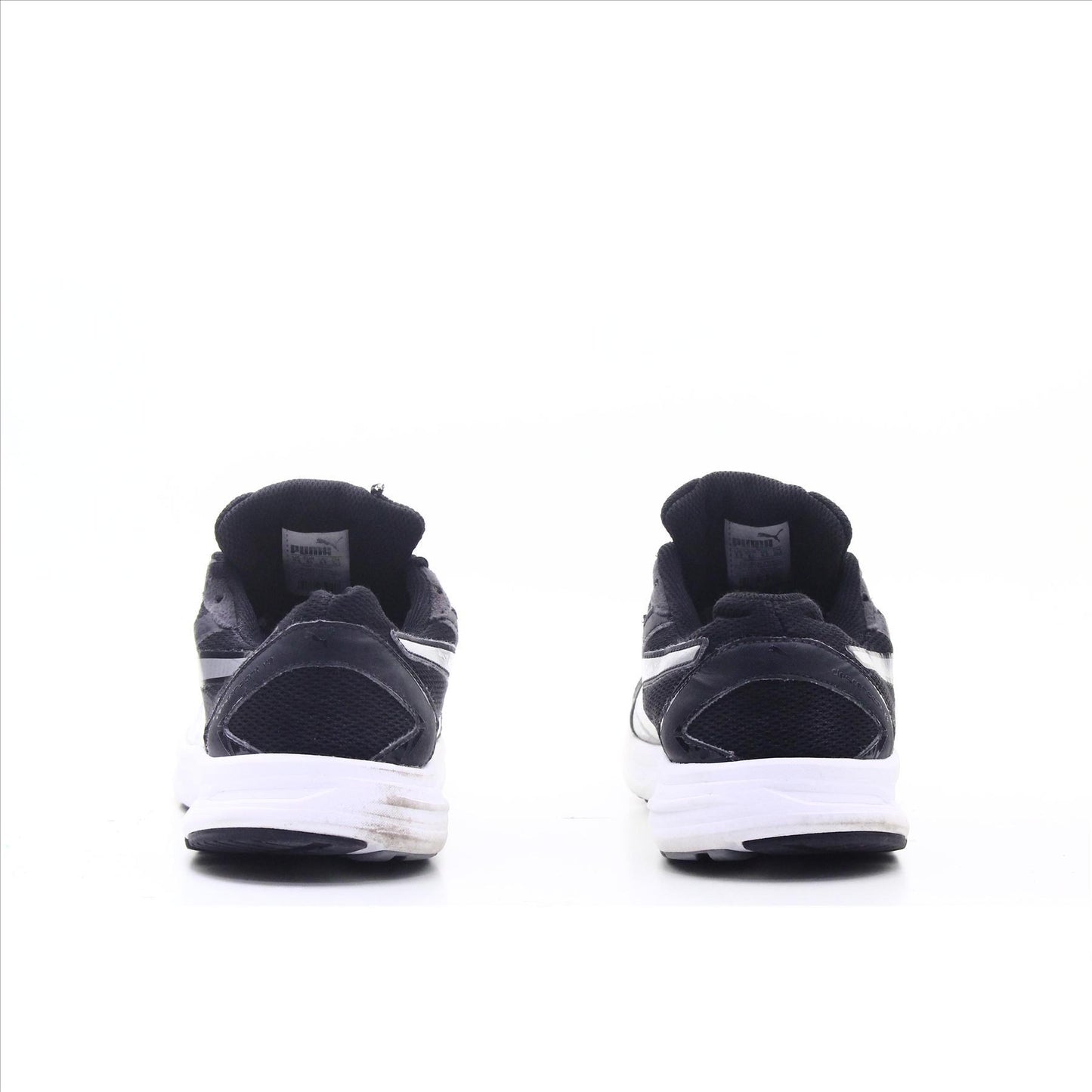 Puma Descendant