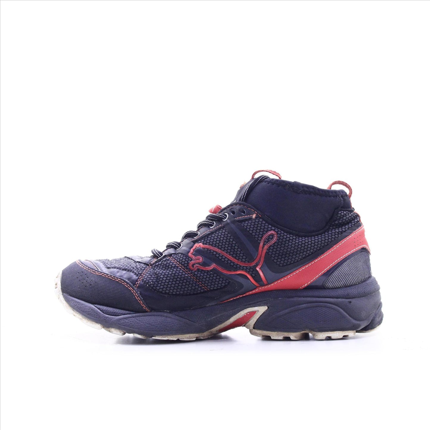 Puma Night Fox