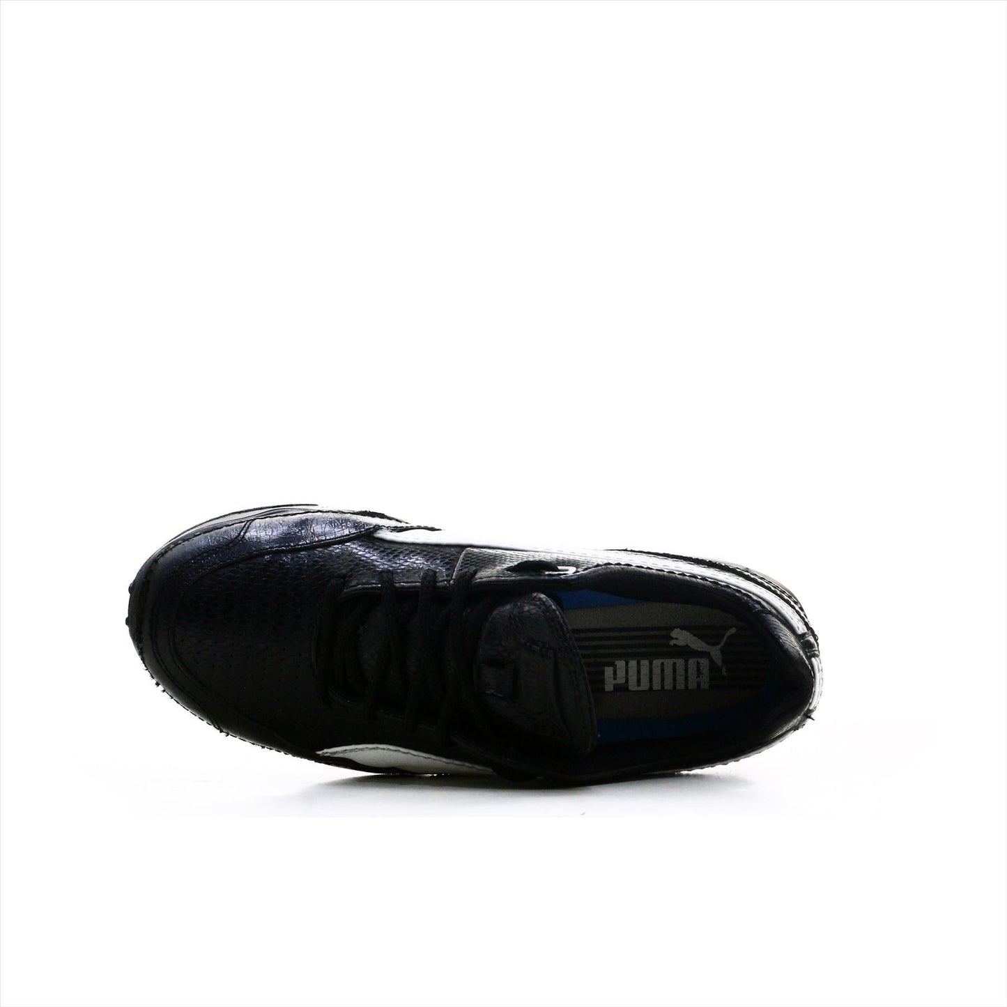 Puma Cell