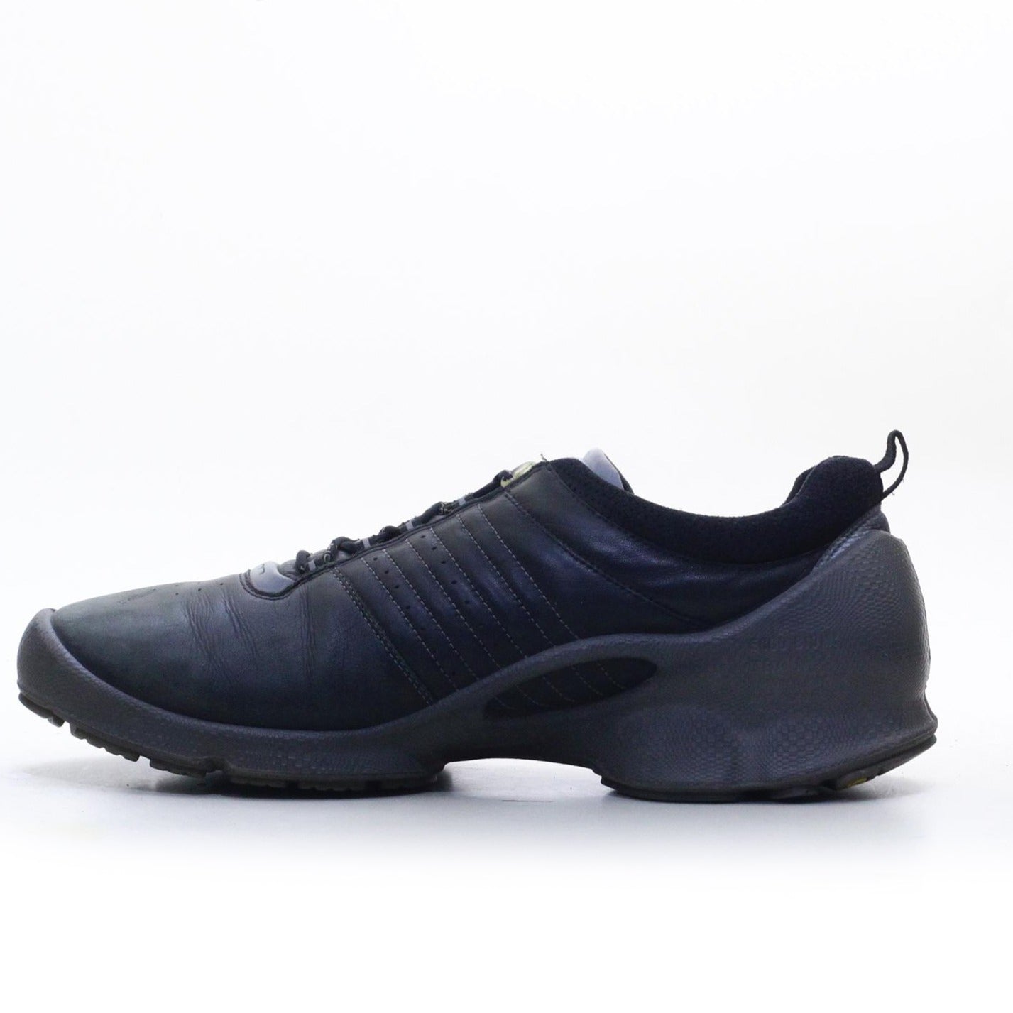 ECCO BIOM (Original USA Imported)
