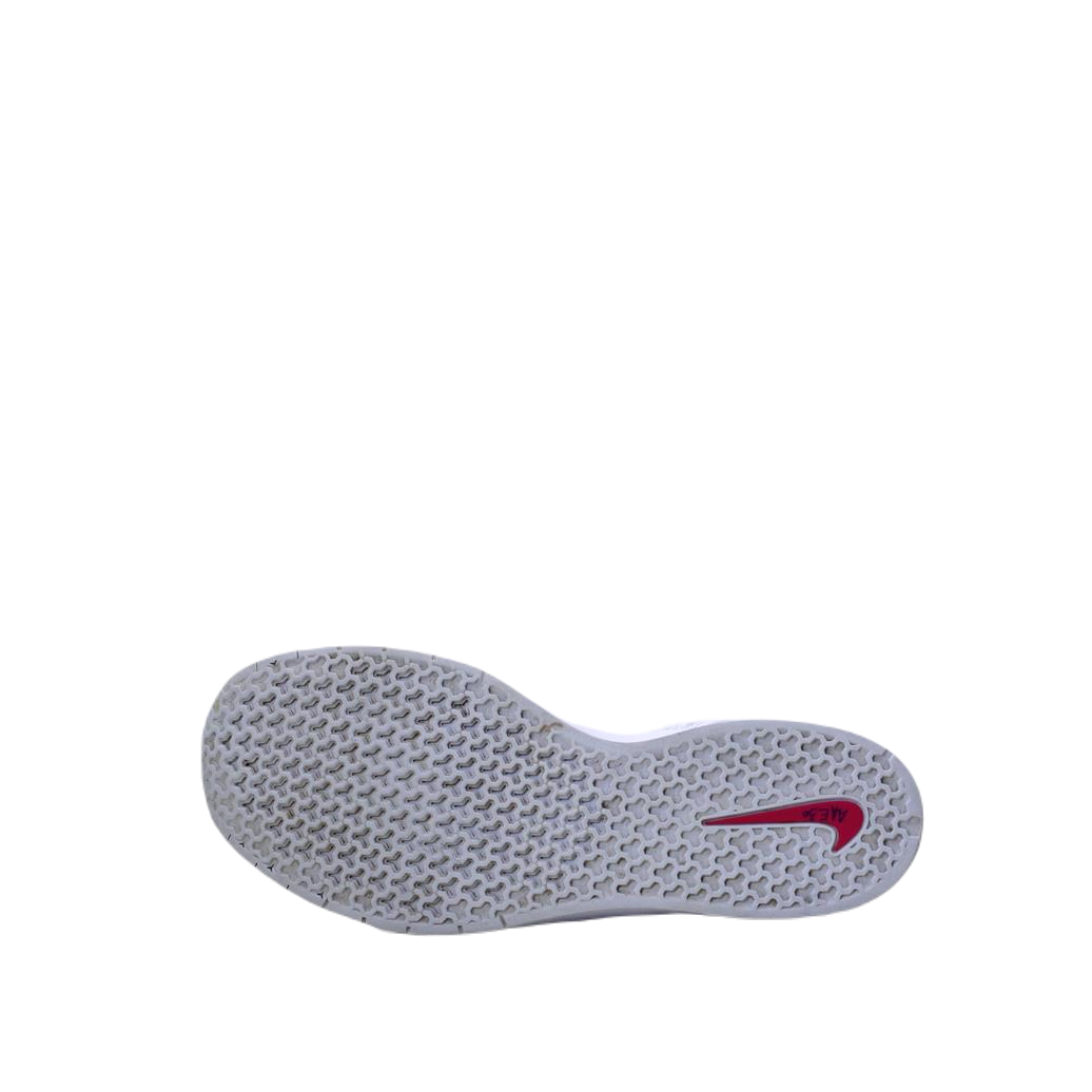 NIKE AIR STEFAN JANOSKI ORIGINAL USA IMPORTED (Original USA Imported)