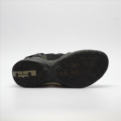 NIKE ZOOM LEBRON (Original USA Imported)
