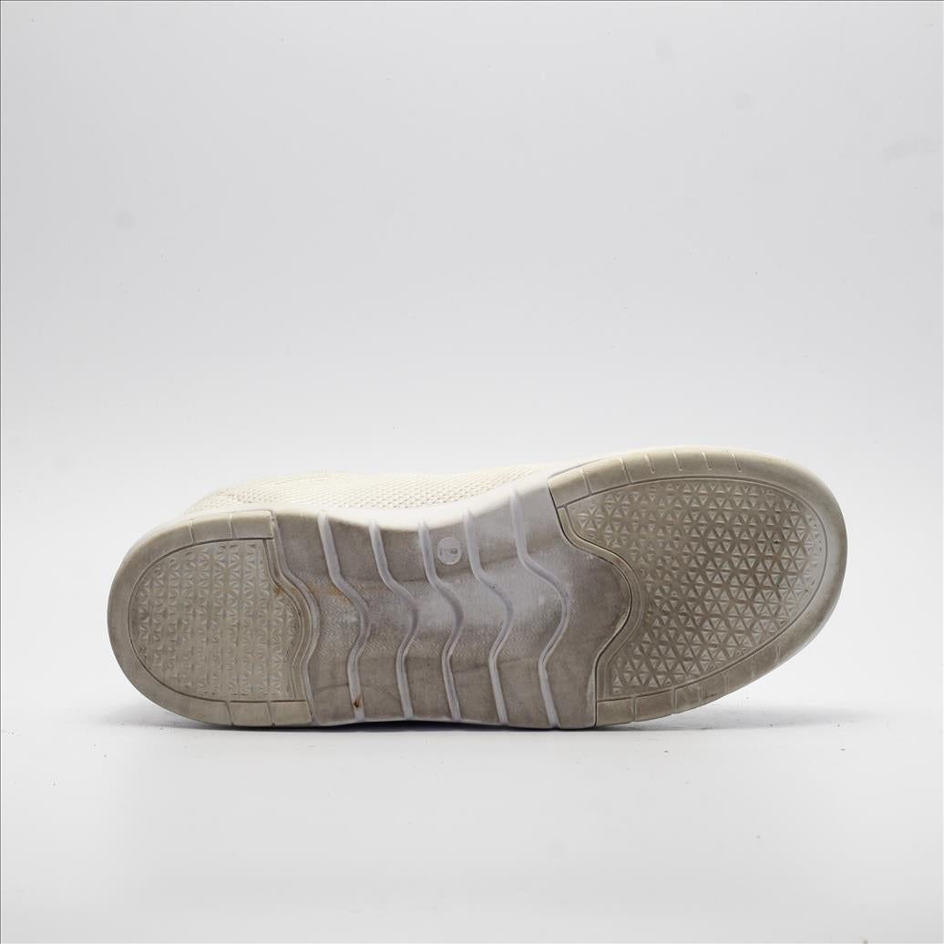 CRANE (Original USA Imported)