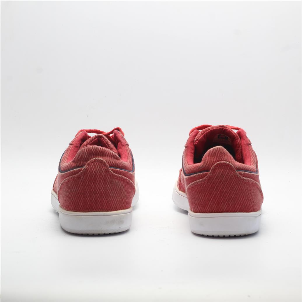 CHAMPION (Original USA Imported)