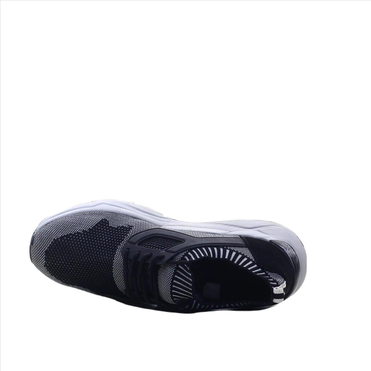 VENICE SPORTS (Original USA Imported)