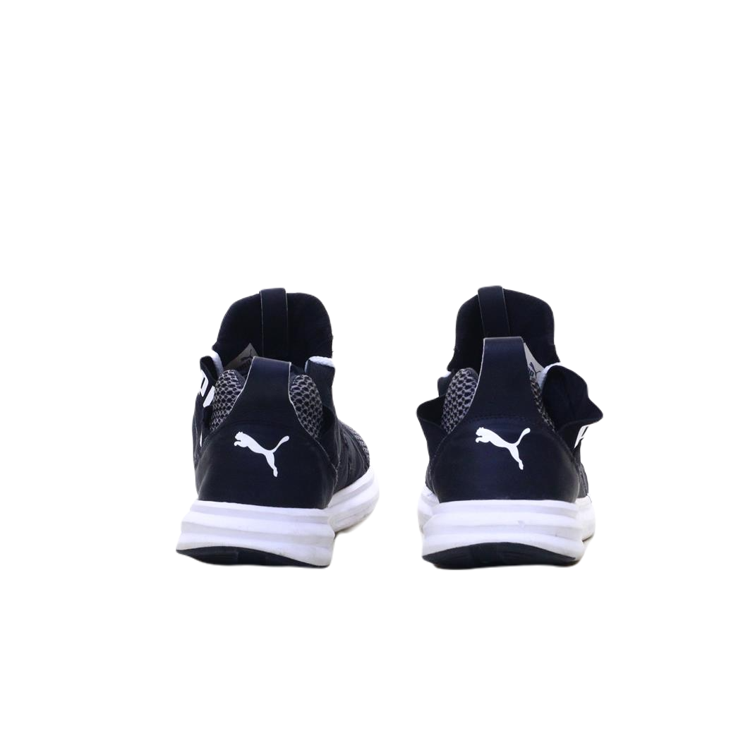 PUMA SPORTS (Original USA Imported)
