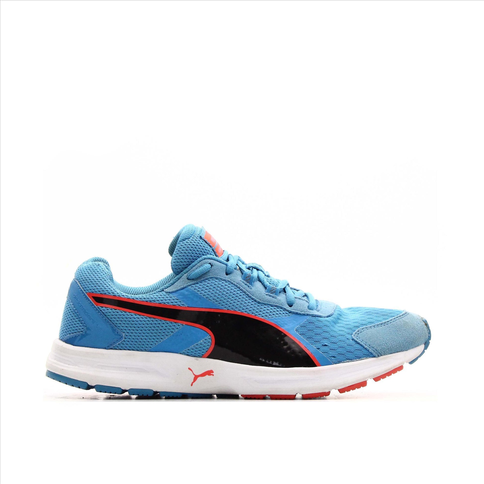 Puma Descendant