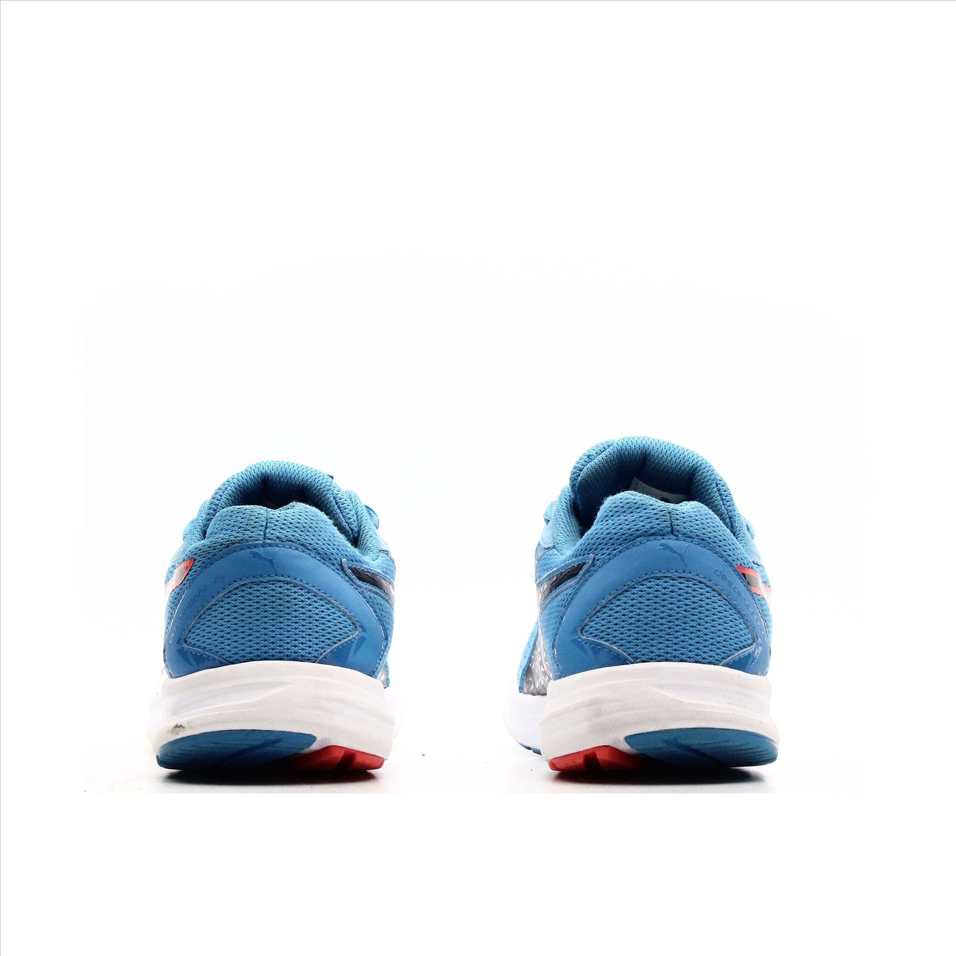 Puma Descendant