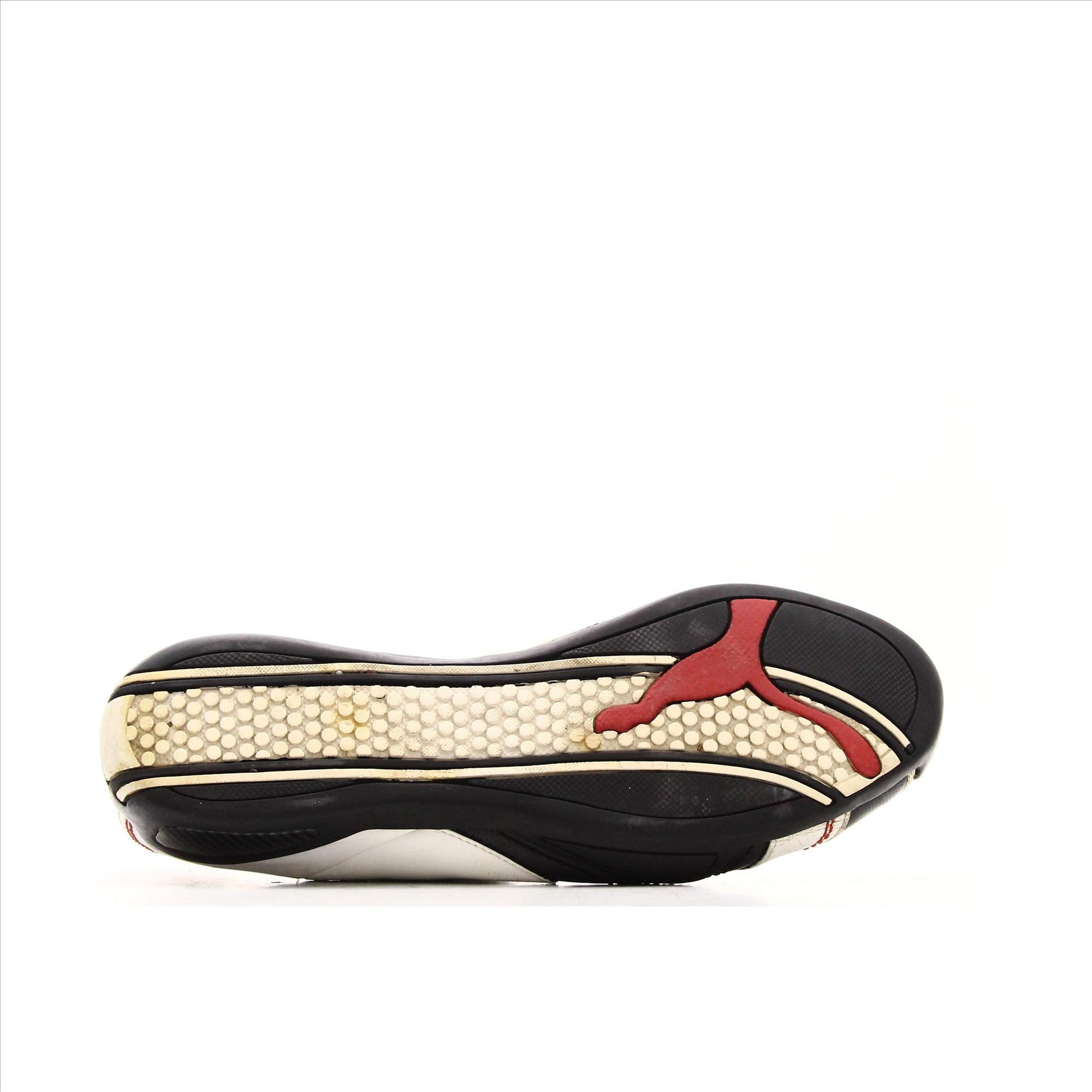 Puma Ride