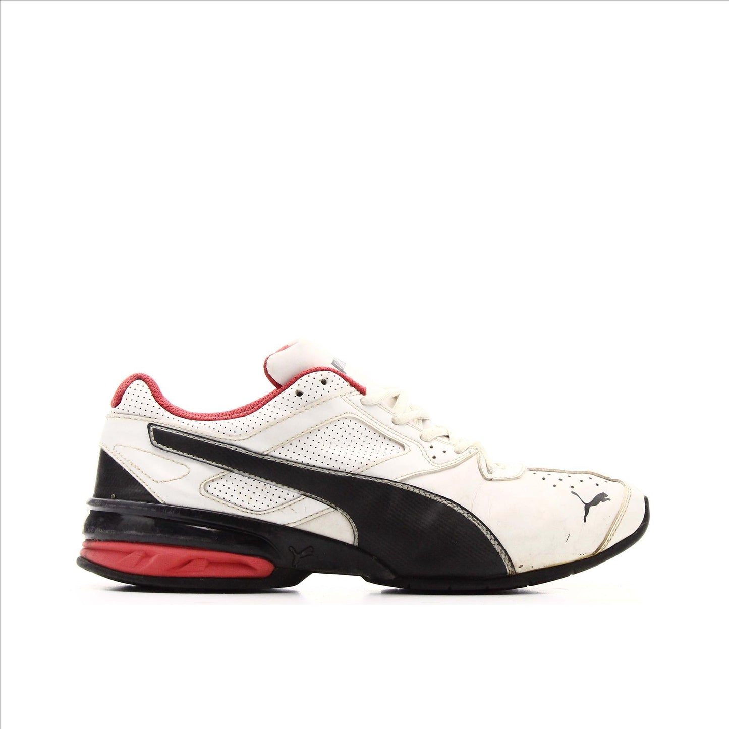 Puma Cell
