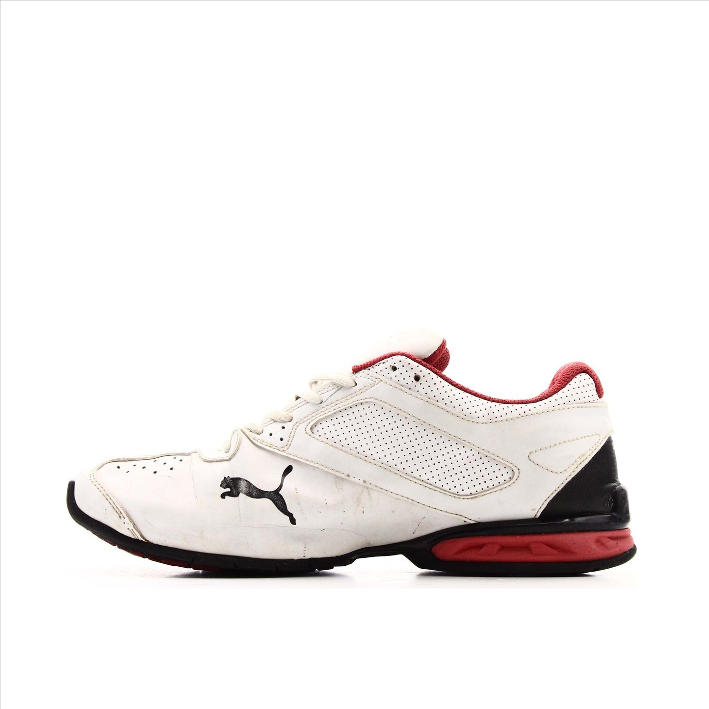 Puma Cell
