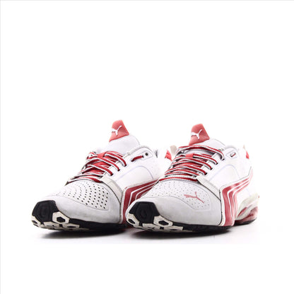 Puma Cell