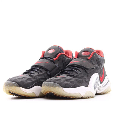 Nike Zoom Air