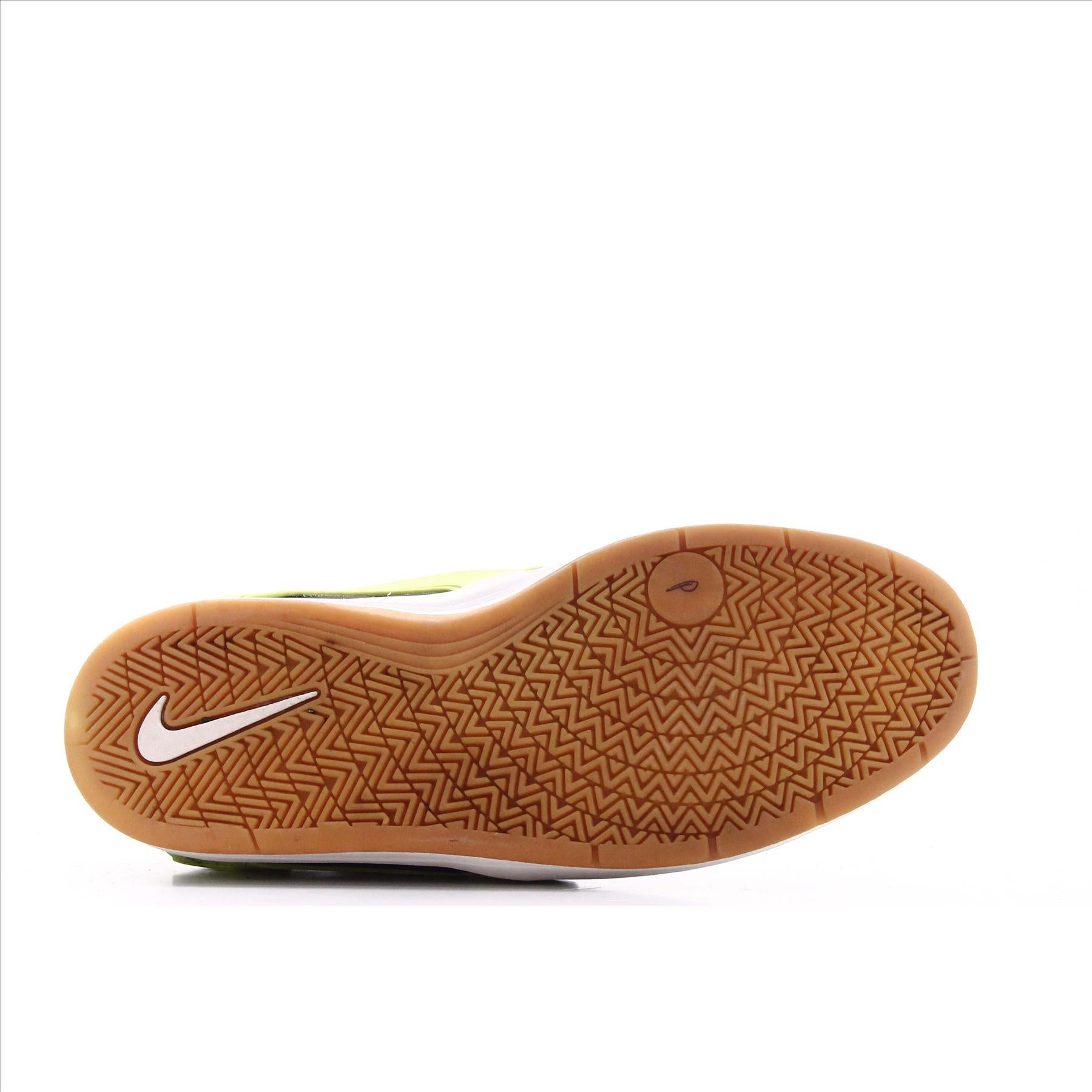 Nike Sb
