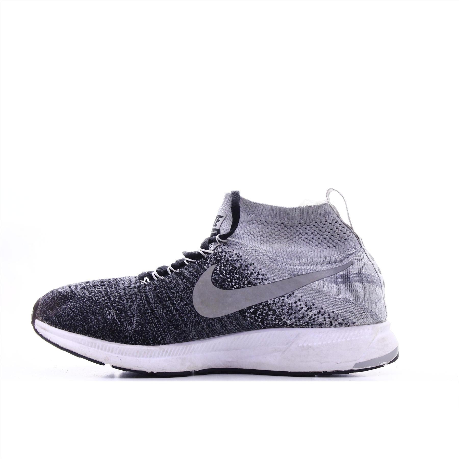 Nike Pegasus