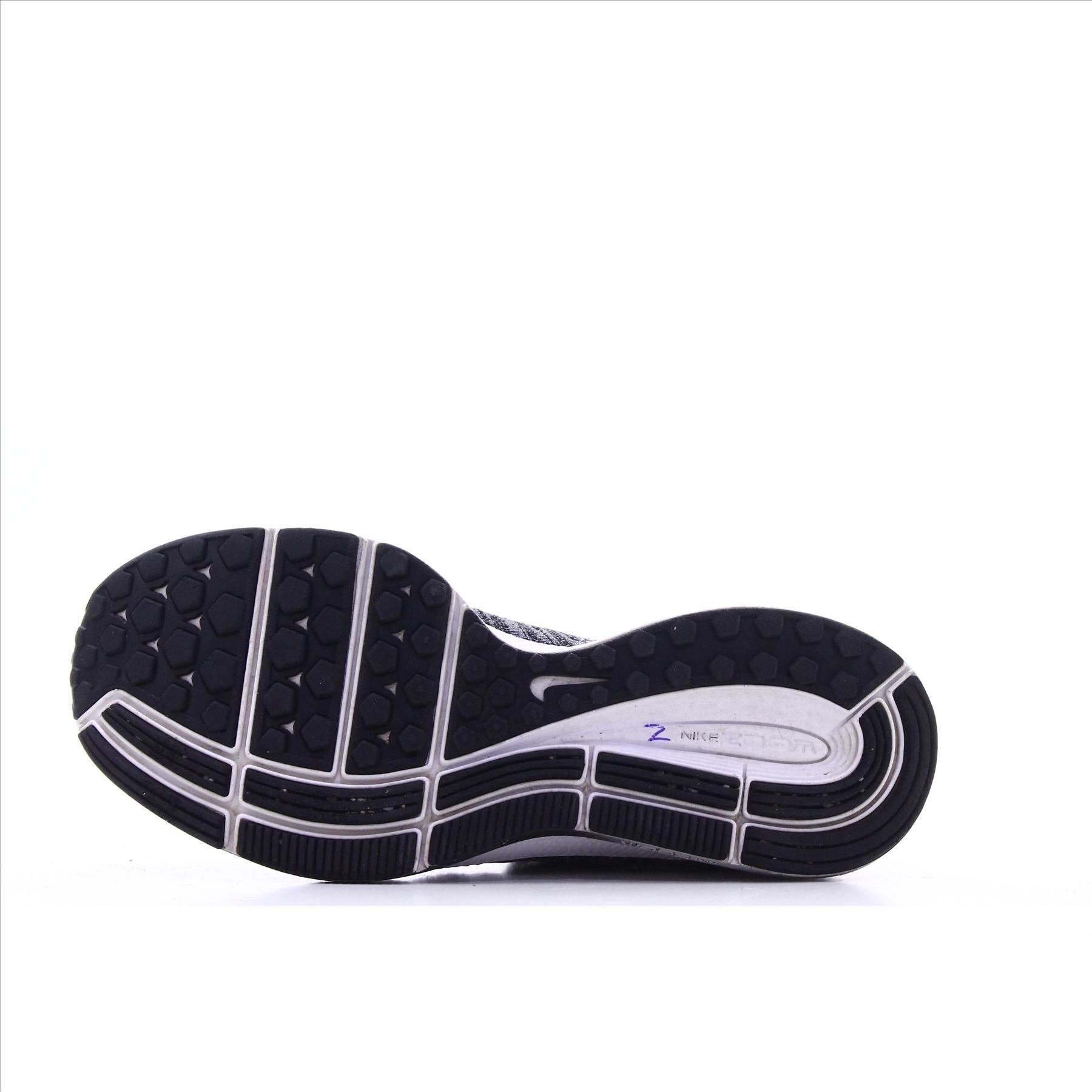 Nike Pegasus