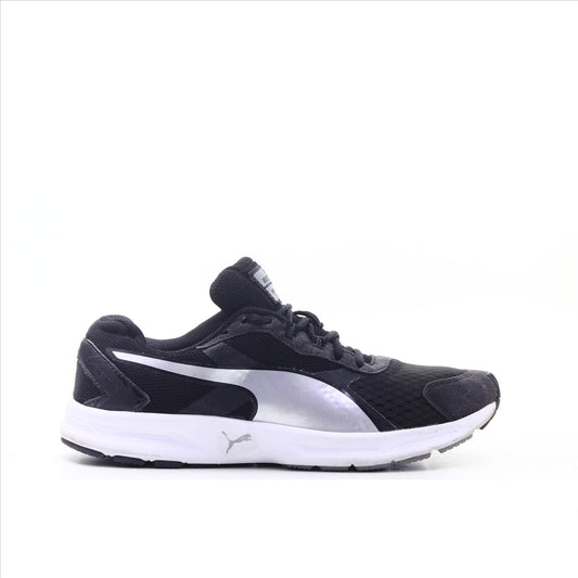 Puma Descendant