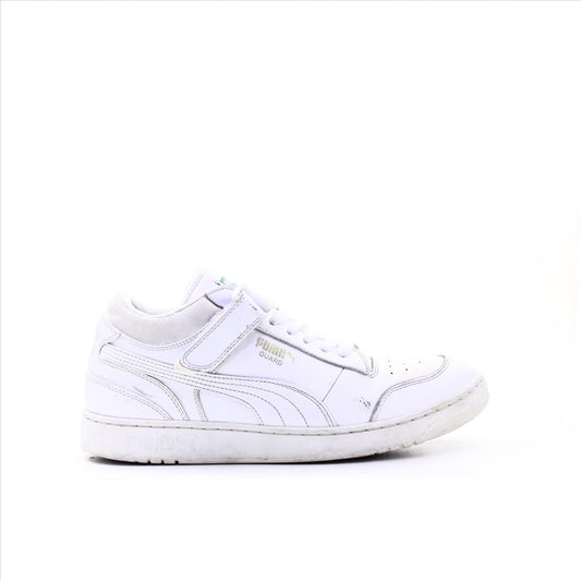 Puma Guard