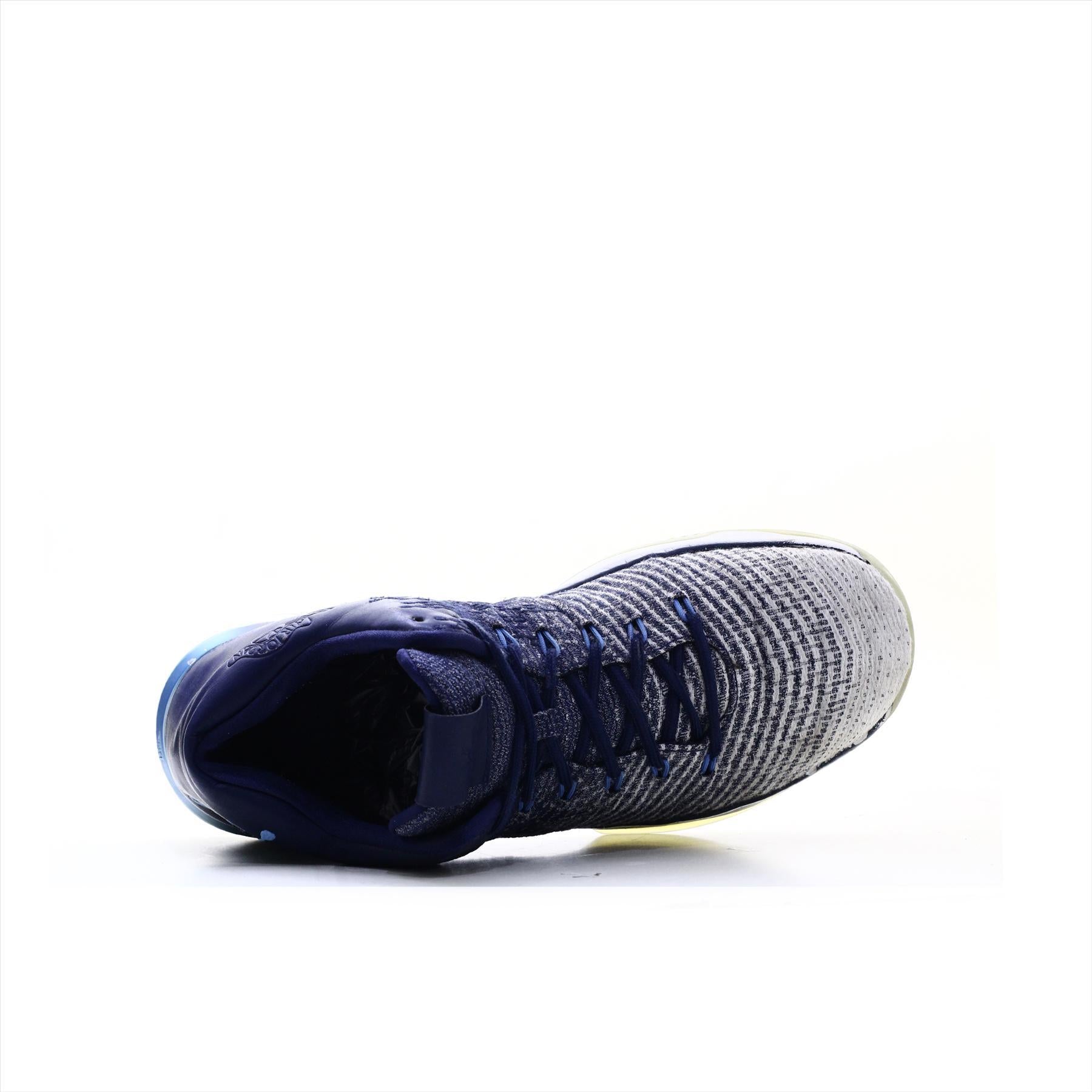 Air Jordan 31 Royal Flight Speed