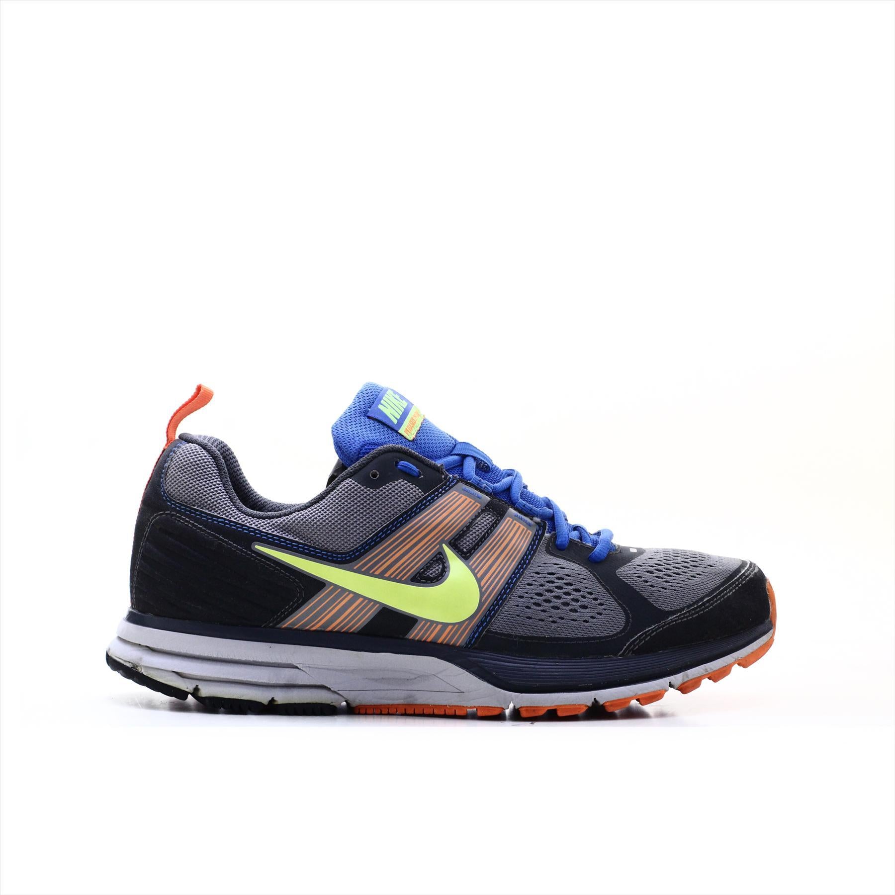 Nike Pegasus 29 Trail