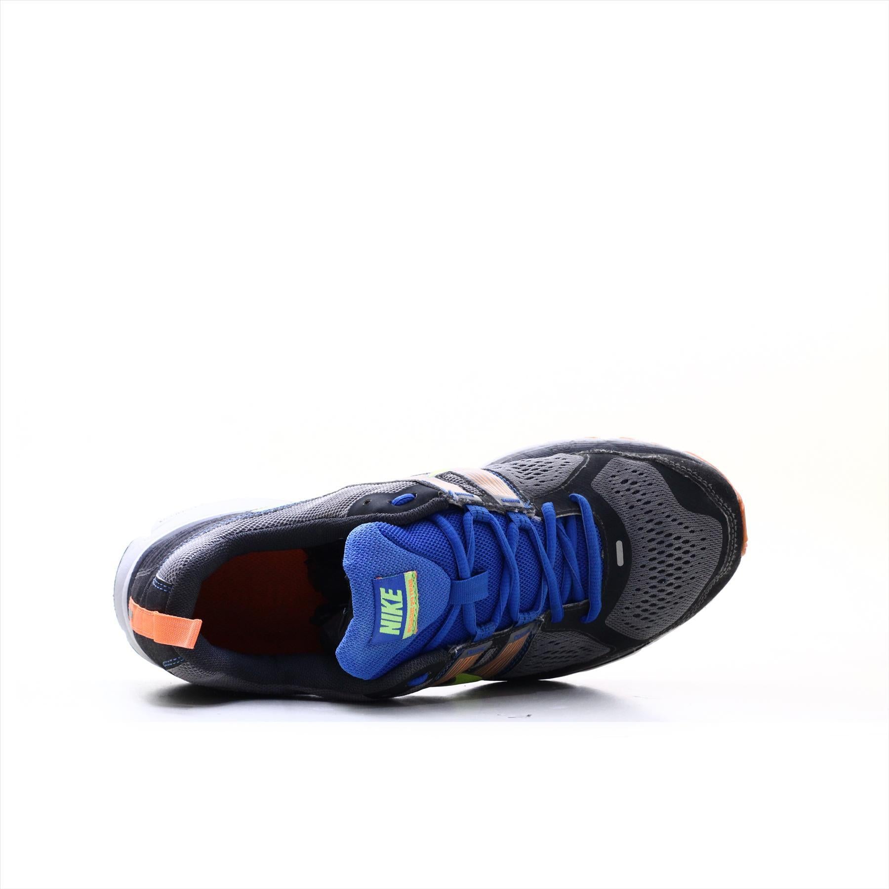 Nike Pegasus 29 Trail