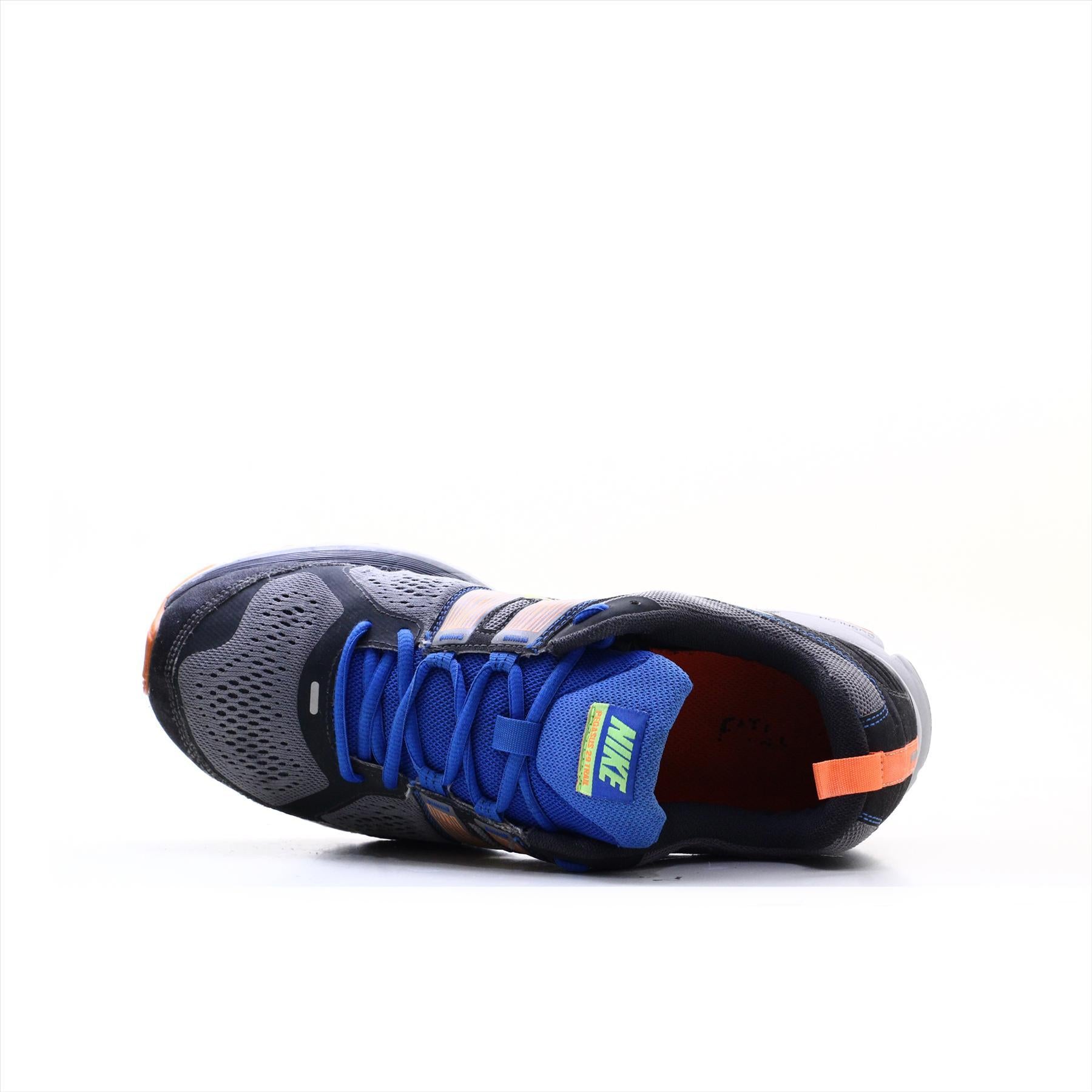 Nike Pegasus 29 Trail