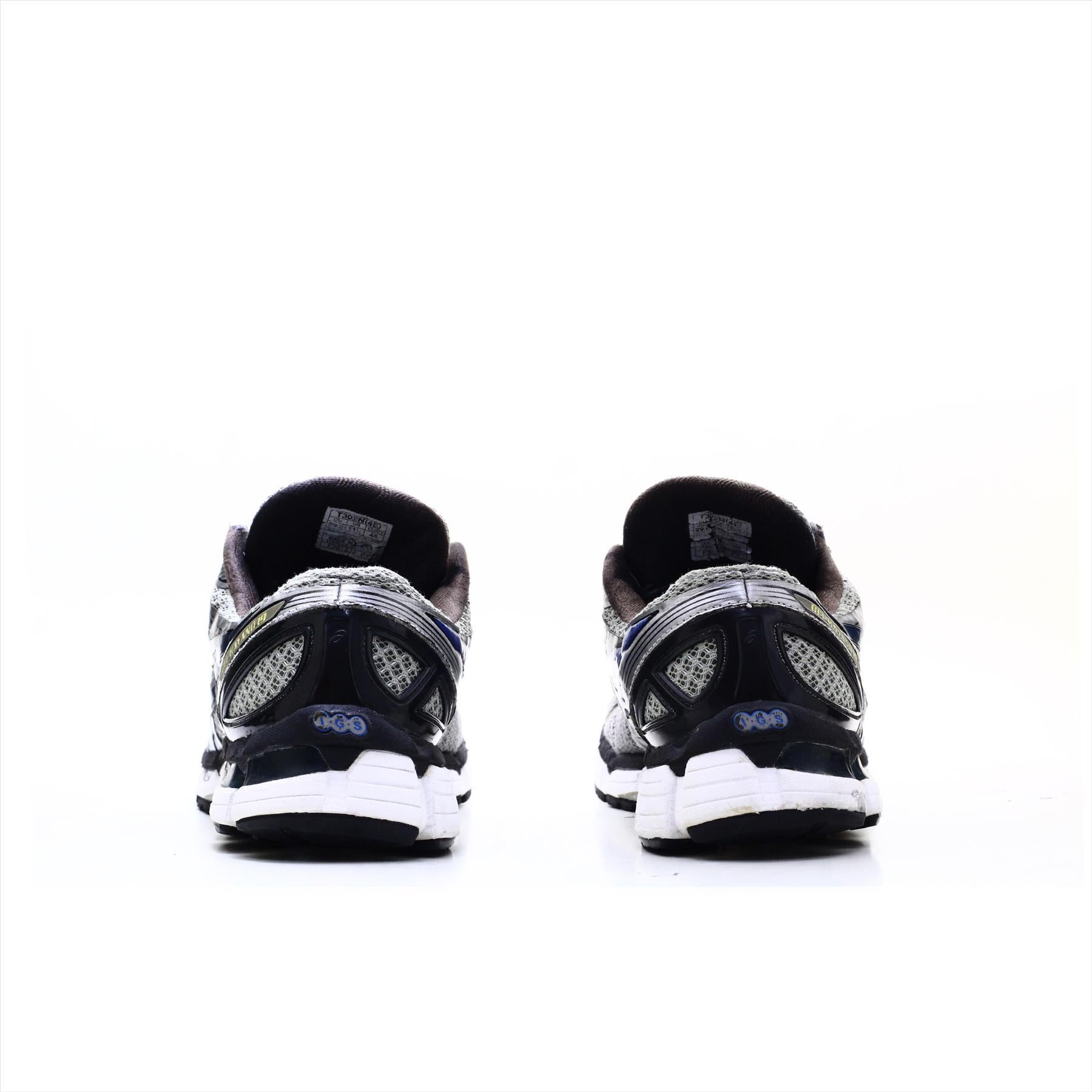 Asics Gel Kayano 19