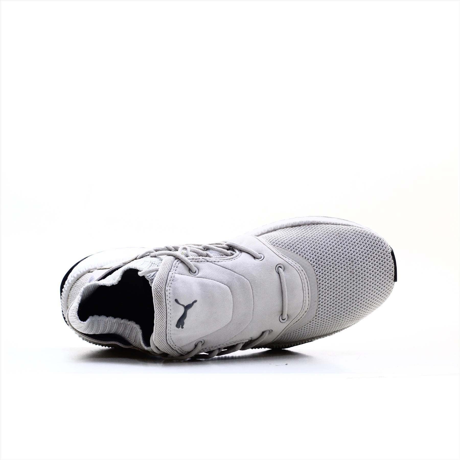 Puma Ignite