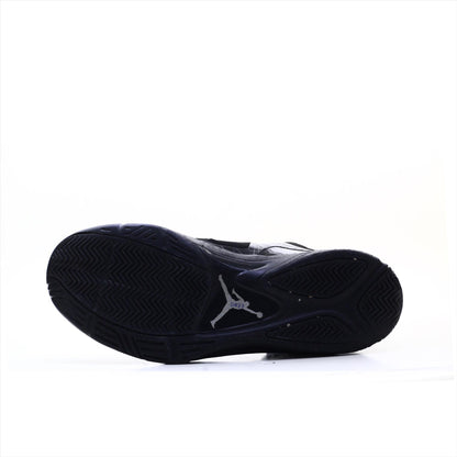 Air Jordan Flywire