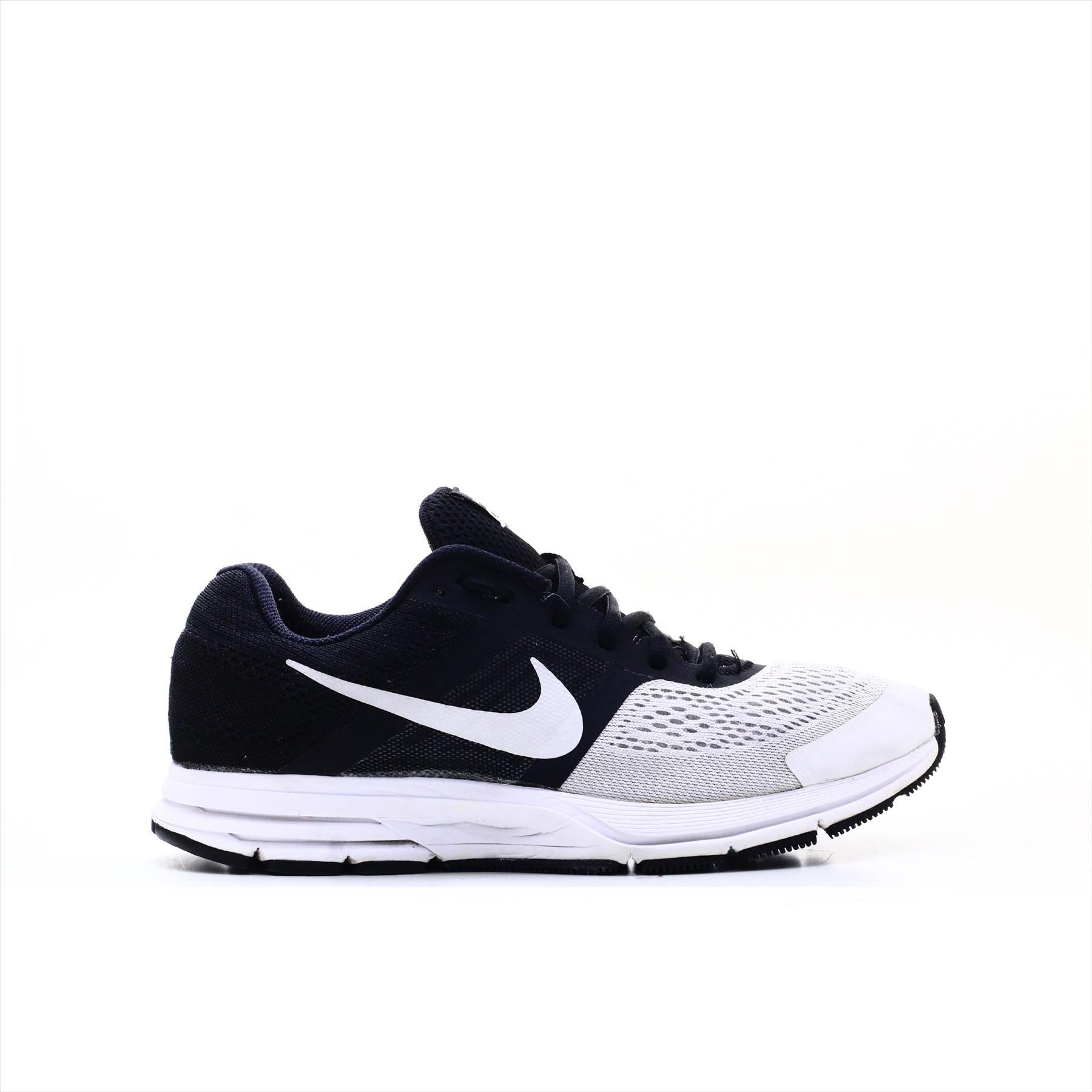 Nike Pegasus 30