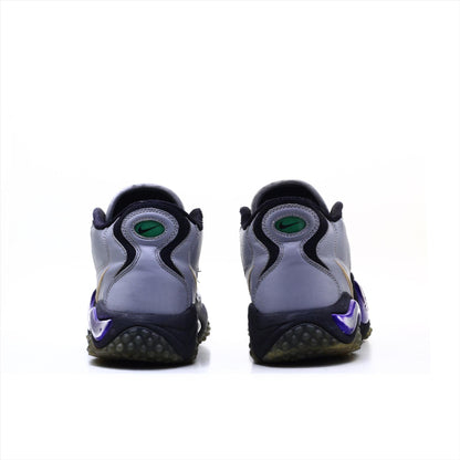 Nike Zoom Air