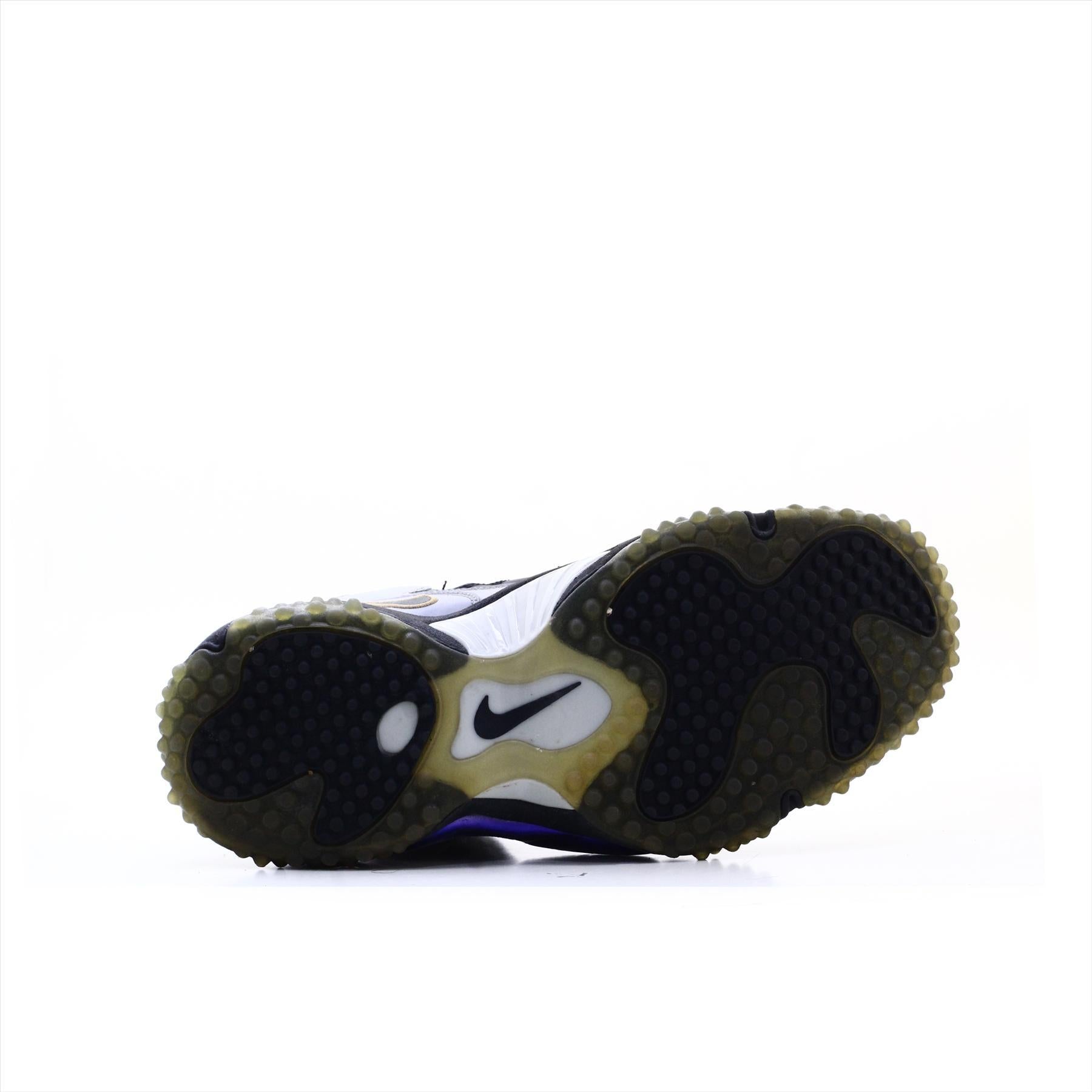Nike Zoom Air