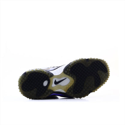 Nike Zoom Air
