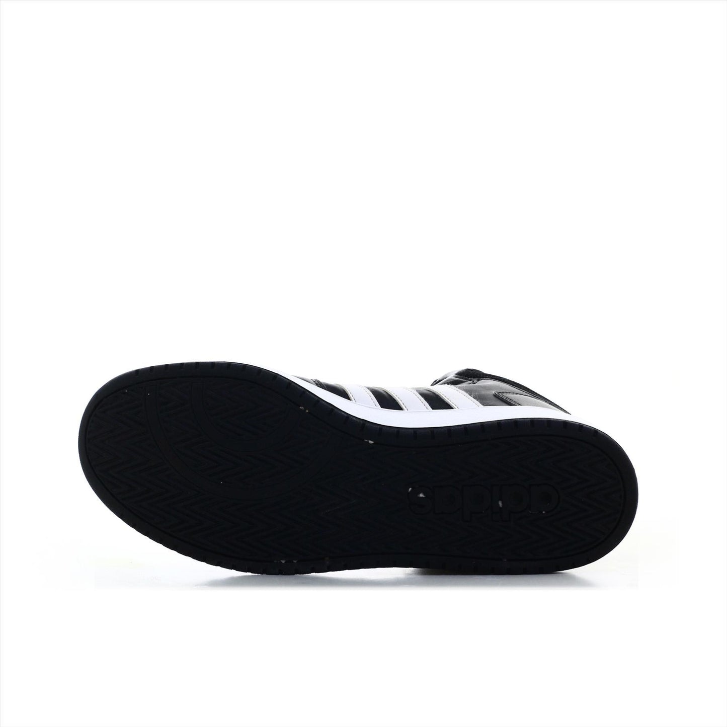 Adidas Sports (ORIGINAL)