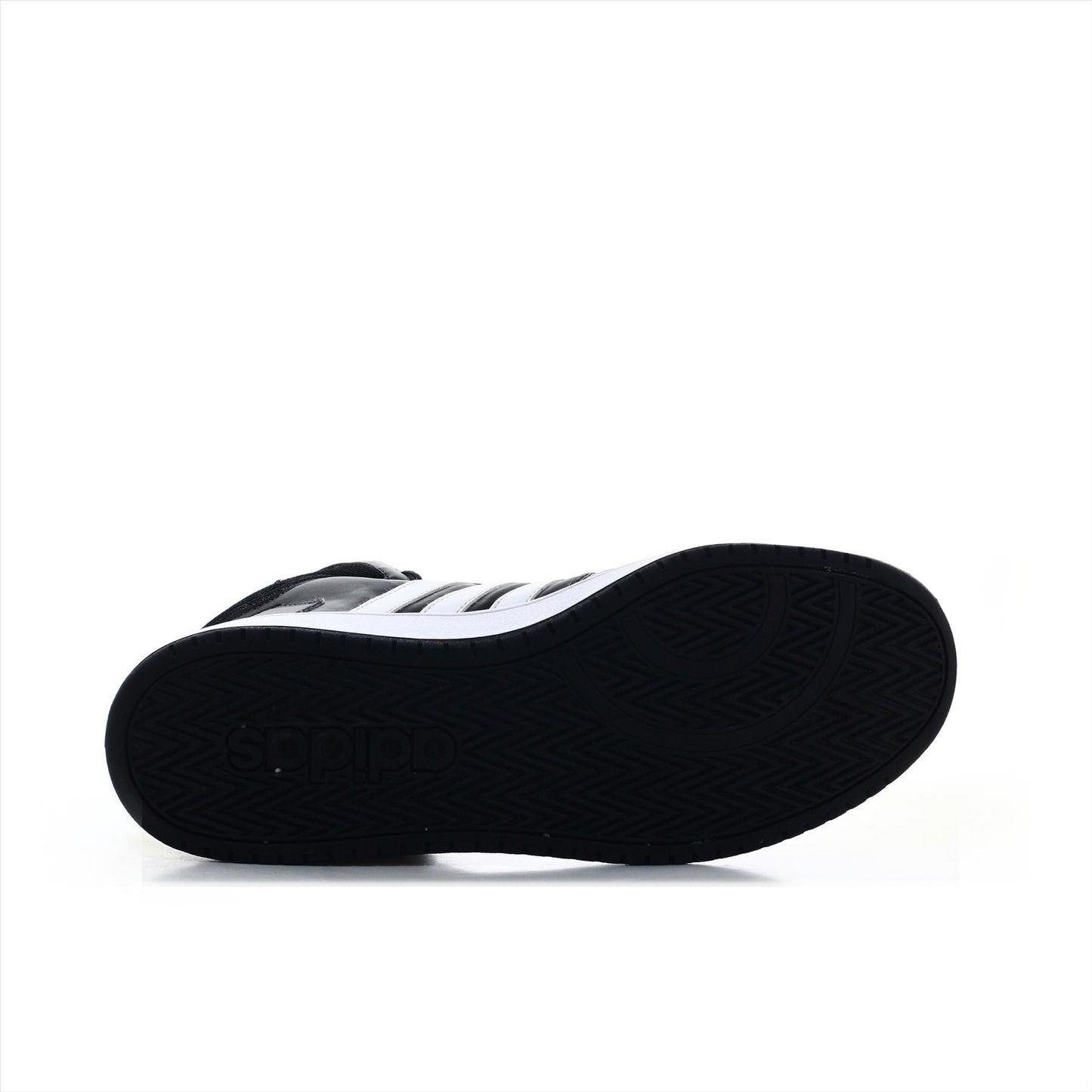 Adidas Sports (ORIGINAL)