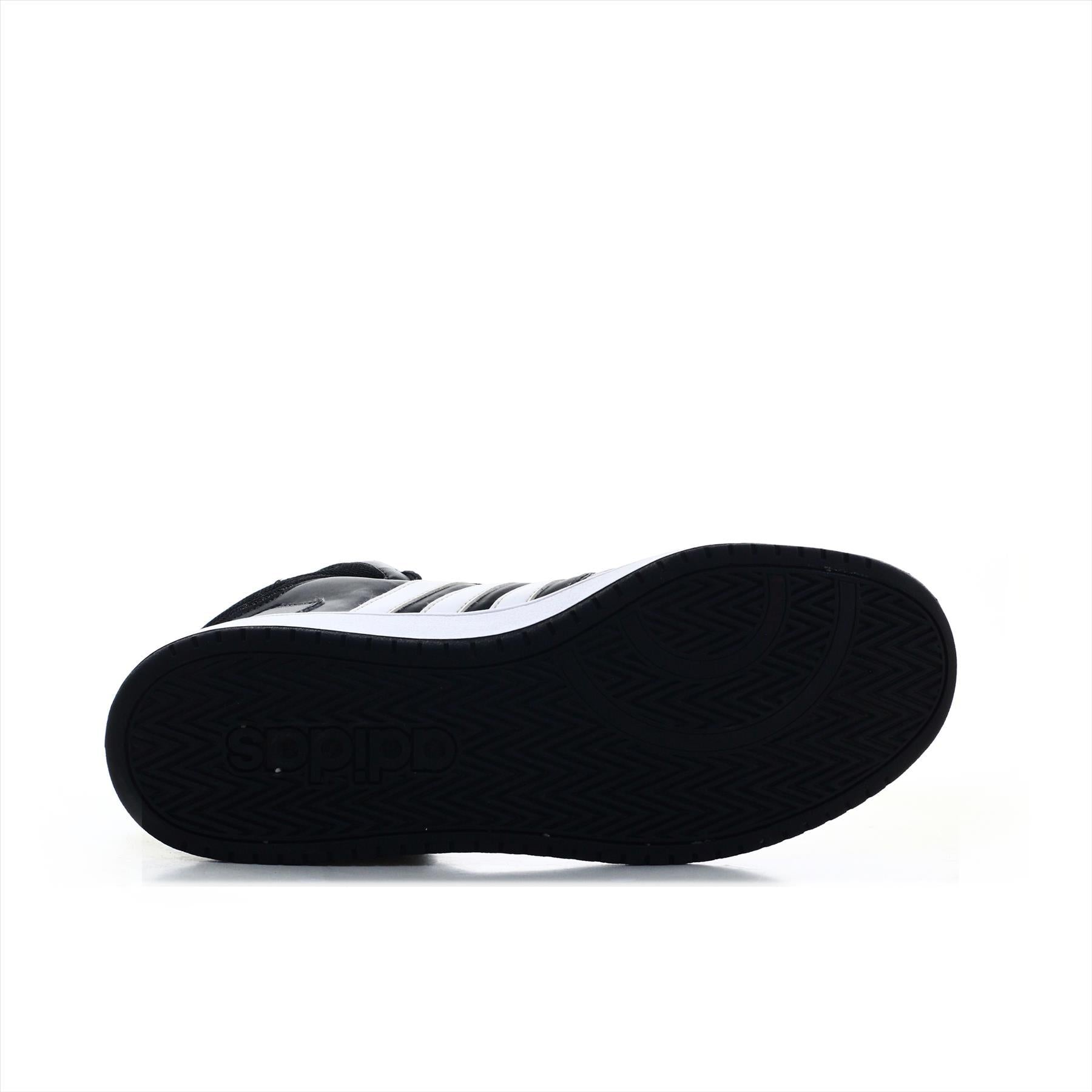 Adidas Sports (ORIGINAL)