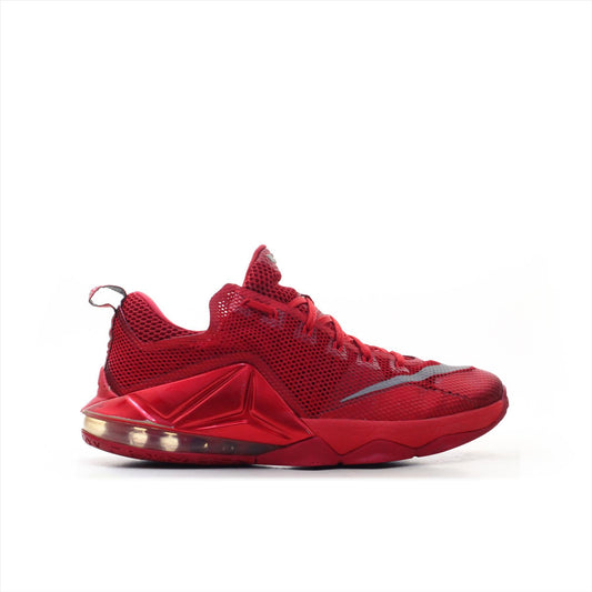 Nike Zoom Lebron James 23 (ORIGINAL)
