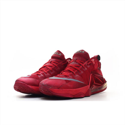 Nike Zoom Lebron James 23 (ORIGINAL)