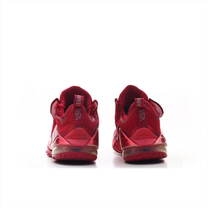 Nike Zoom Lebron James 23 (ORIGINAL)