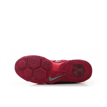 Nike Zoom Lebron James 23 (ORIGINAL)