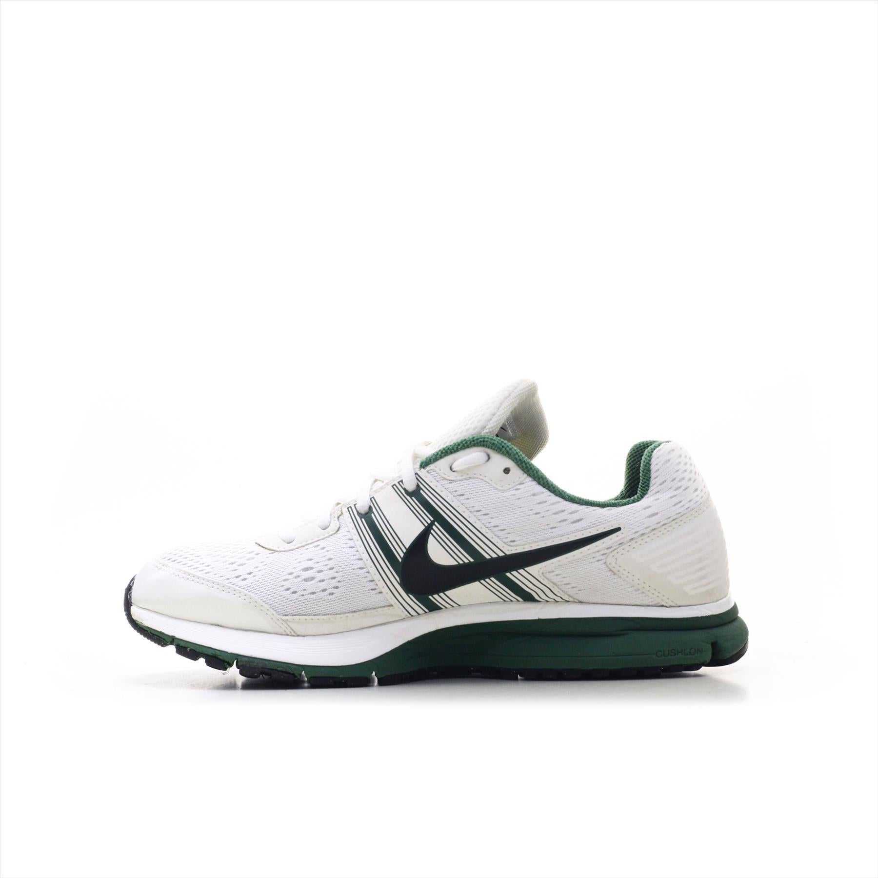 Nike Pegasus 29 (ORIGINAL)