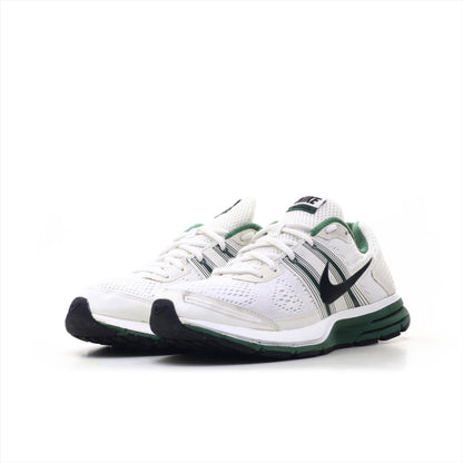 Nike Pegasus 29 (ORIGINAL)
