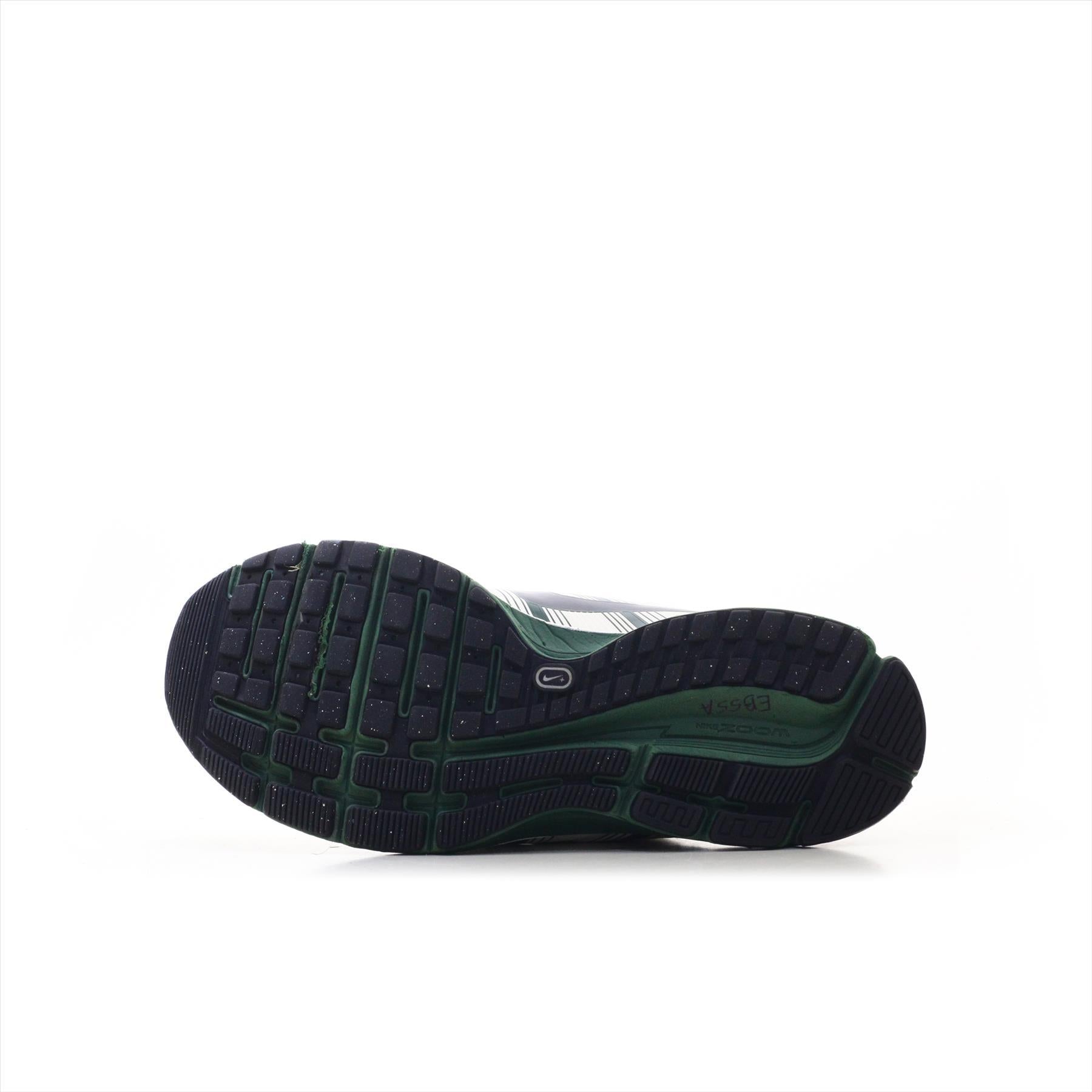 Nike Pegasus 29 (ORIGINAL)
