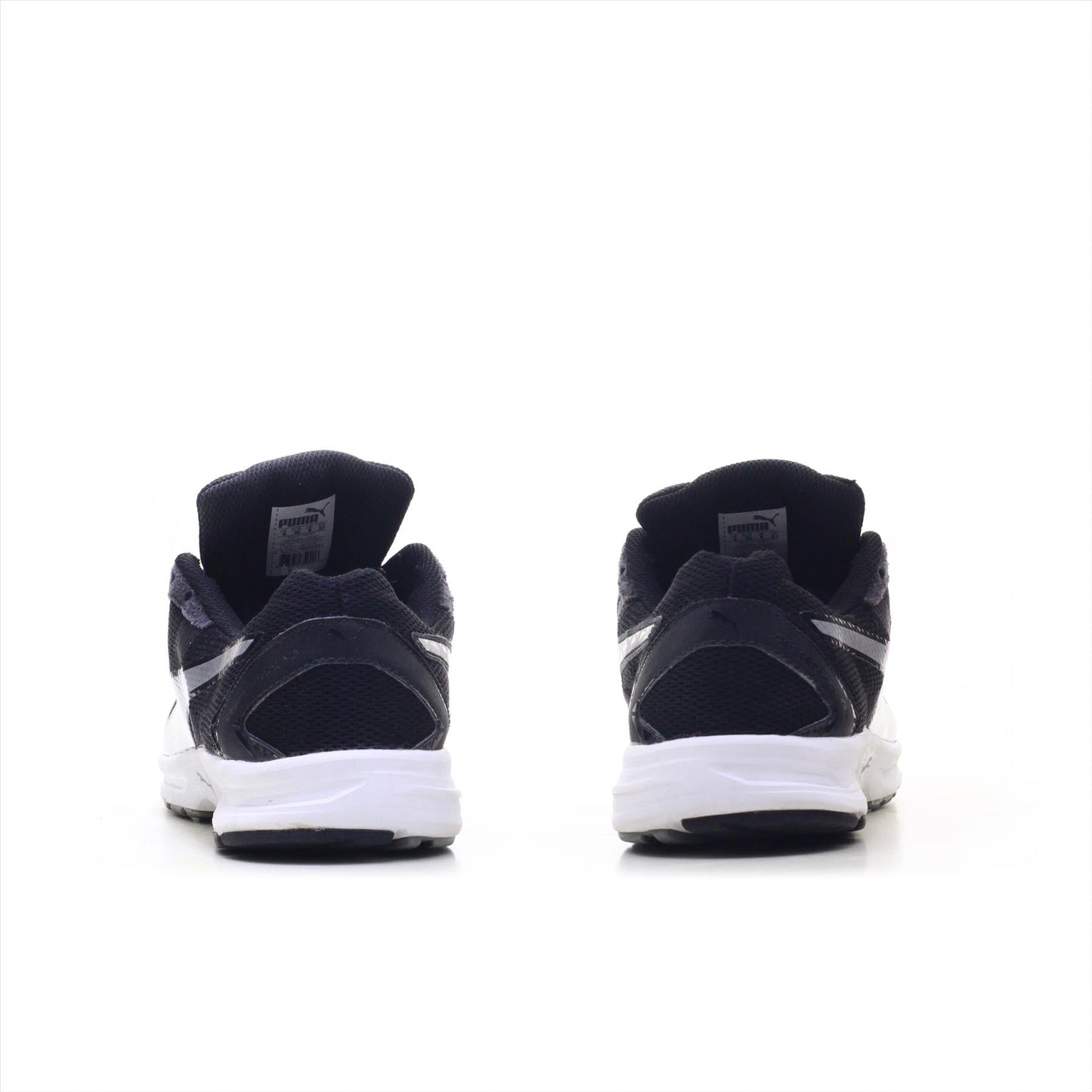 Puma Descendant (ORIGINAL)