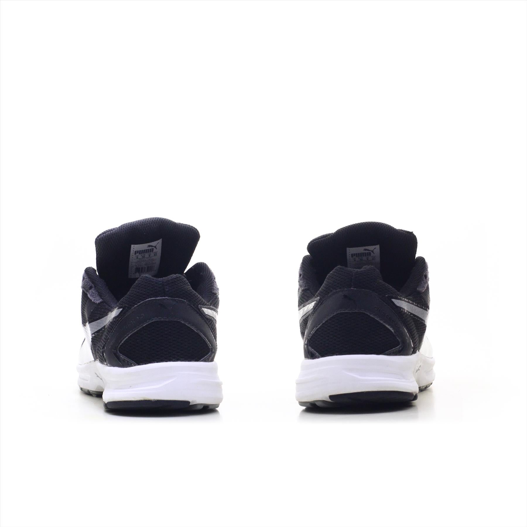 Puma Descendant (ORIGINAL)