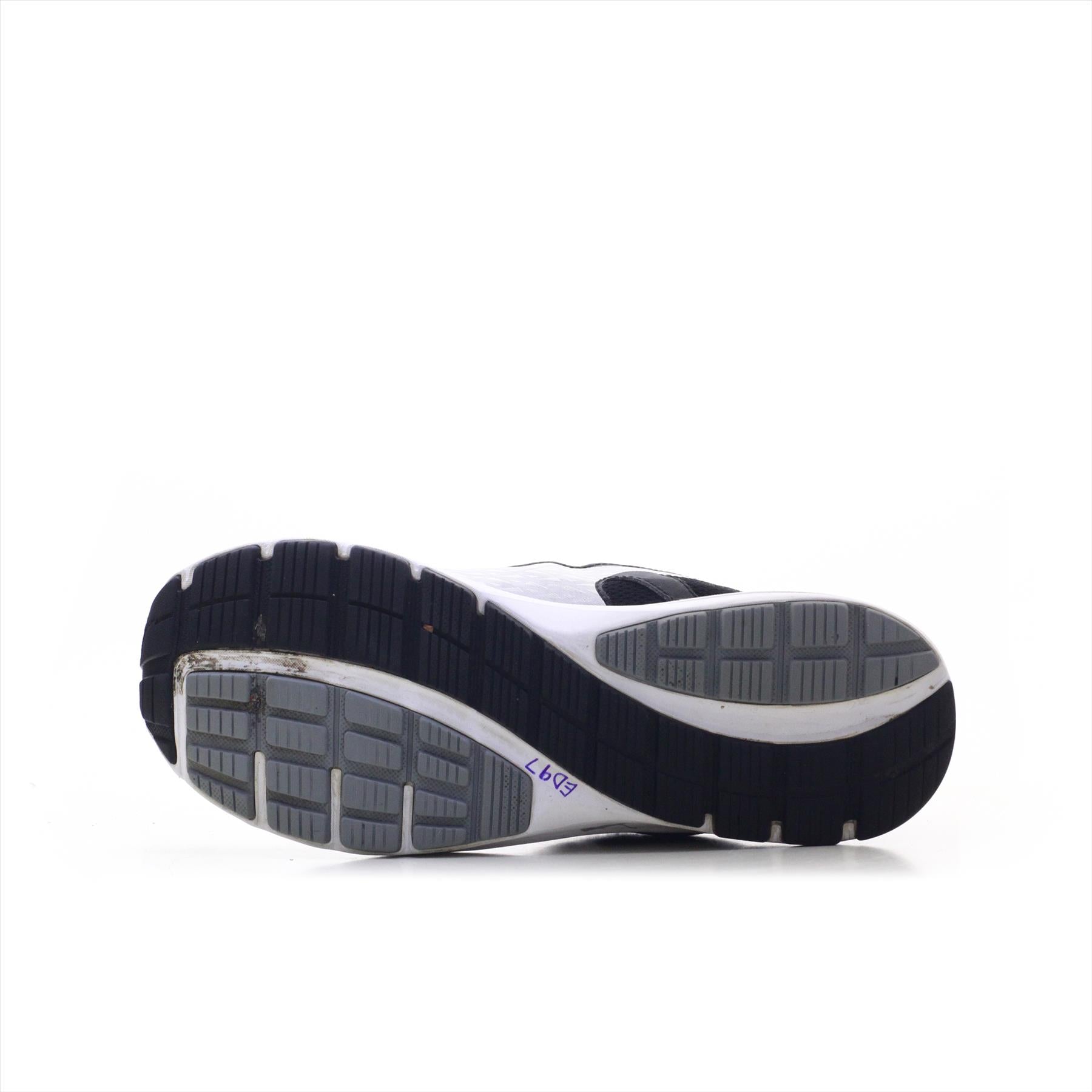 Puma Descendant (ORIGINAL)